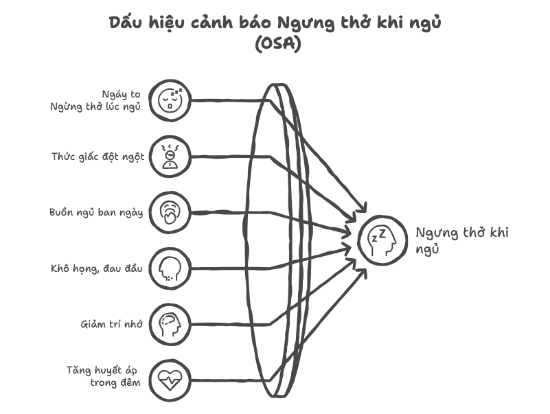 ngu-ngay-ngung-tho-khi-ngu-osa