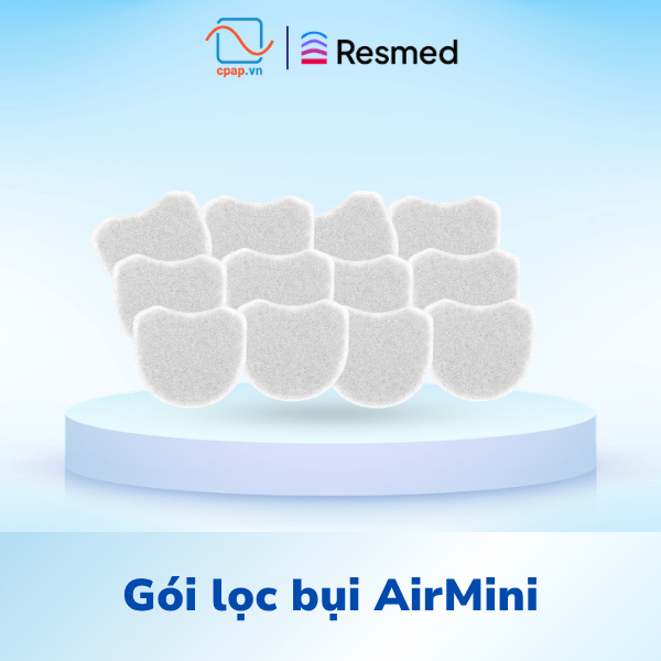 Gói lọc bụi AirMini 12 miếng
