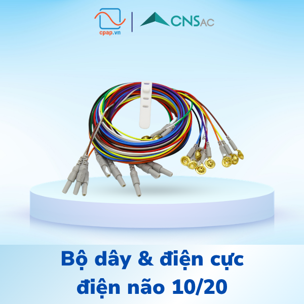 Bộ Dây Và Điện Cực Điện Não EEG 10/20 Dùng Cho Máy Đo Đa Ký