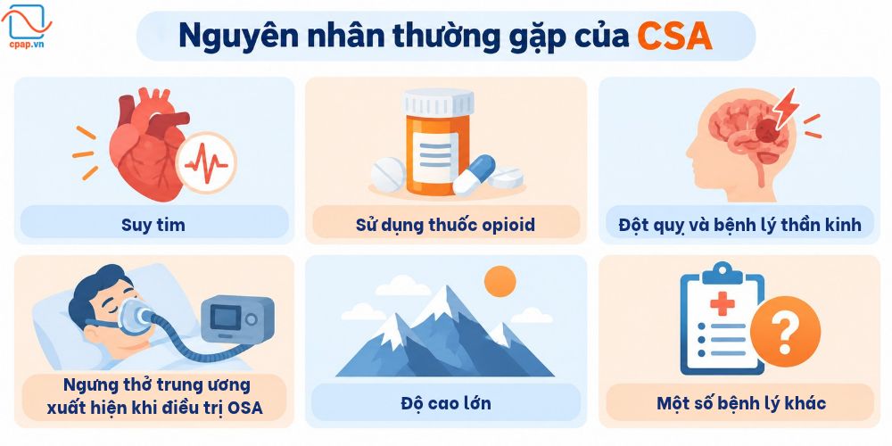 nguyên nhân thường gặp của ngưng thở trung ương khi ngủ CSA